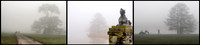 Misty Morning © Michael Robertson Smith 1st=(nov)