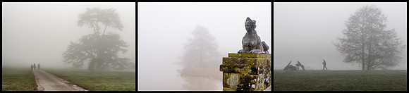 Misty Morning © Michael Robertson Smith 1st=(nov)