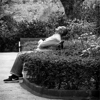 Afternoon Nap © John Roach - HC