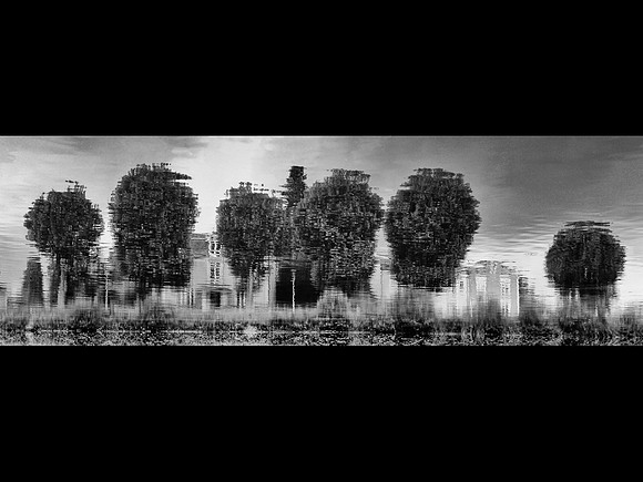 Charente Reflections © John Roach - C