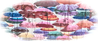 Floating Umbrellas © Brian Cole 1st =