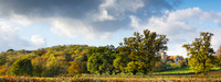 St Peter's in the Autumn © Peter Gilbert C