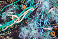 All Washed Up (Left) © David P Howard