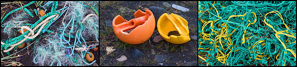 All Washed Up © David P Howard
