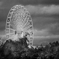 03 The Wheel © Michael Robertson Smith