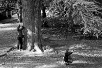 02 Snappers © Michael Robertson Smith