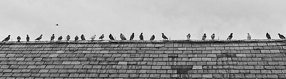 12 Social Distancing © Michael Robertson Smith