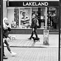 08 Between Phone Boxes © Michael Robertson Smith