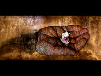 The Permanence of Loss © Dick Prior - 2nd=