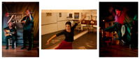 Flamenco © John Hobson 1st Novice