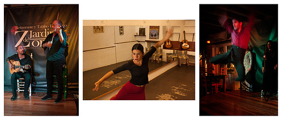 Flamenco © John Hobson 1st Novice