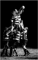 Floodlit Rugby © Dick Prior - C