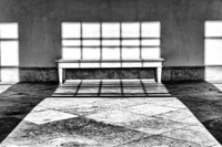 Sunlit bench © Peter Harris - 1st