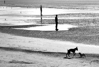 On The Beach © Stewart Band - HC