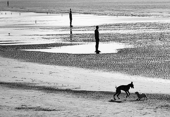 On The Beach © Stewart Band - HC