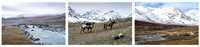 Altai Nomads © Dick Prior 3rd