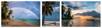 Annual Panels 25022020 Colour