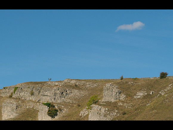 Lonely as a Cloud © Ruth Roach - 3rd