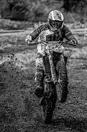 Wheelie © Dawn Breese - 2nd=