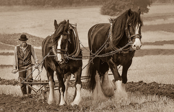 At the end of a long day © Peter Gilbert HC