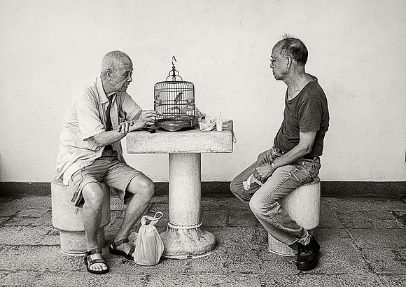 Bird Fanciers © Dick Prior - 12