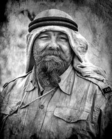 06 Legend of the Desert © Phil Welch