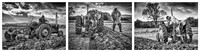 The Ploughing Competition © Brian Cole 1st