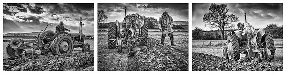 The Ploughing Competition © Brian Cole 1st