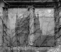 Sight Unseen © David P Howard