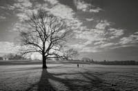 Winter Morning © Stefon Cox - 3rd