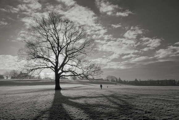 Winter Morning © Stefon Cox - 3rd
