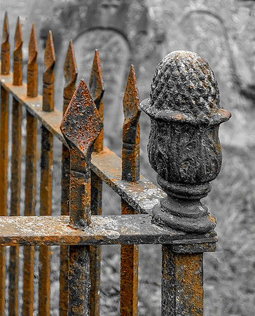 Rusty Metal Fence © Brian Cole - C