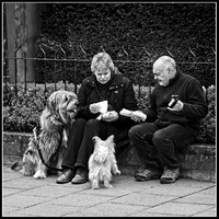 Picnic © Michael Robertson-Smith - C