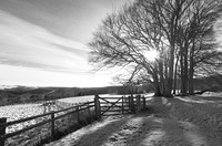 A Sun Kissed Winters Day © Brian Cole 1st