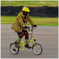 The Bee-cycle © Bill Gourlay - 2nd.