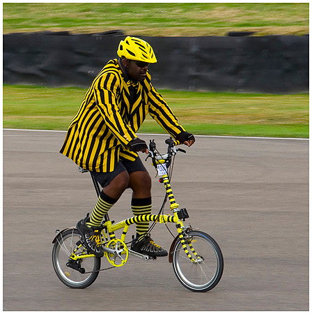 The Bee-cycle © Bill Gourlay - 2nd.