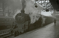 The End of the Line © Andrew Dow - C