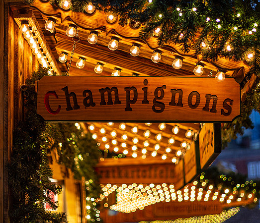 Champignons © David P Howard