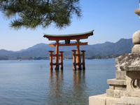Miyajima Japan © Will Barnes HC