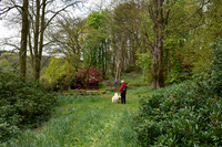 Arley Arboretum © John Vining - 2nd.