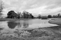 Morning of the Lake © David Millington 2nd