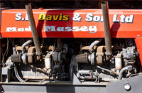 Mad Massey © David P Howard