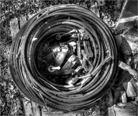 Coils © David P Howard