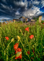 Allotment Sheds © Dick Prior 3rd