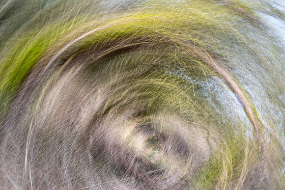 ICM-2