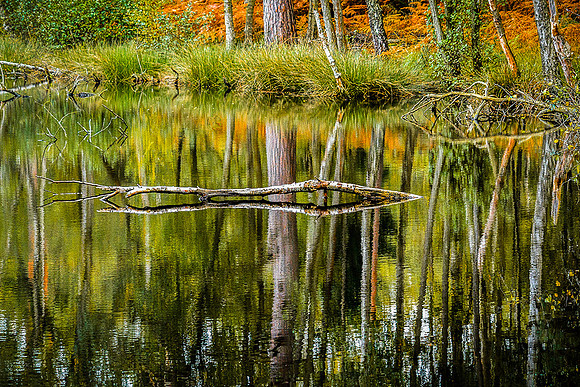 Autumn Reflection © Michael Robertson-Smith - 3rd.