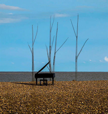 Piano with Sea Trees © Fred Reeve - C