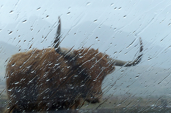 Highland Weather © Heather Wood - C