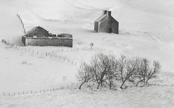 Extreme Conditions © Margaret Preece - HC