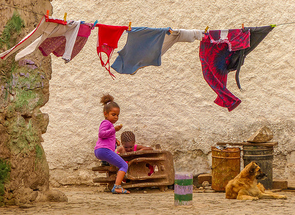 Backyard © Heather Wood - HC